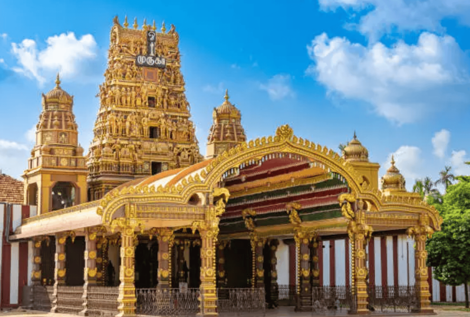 Plan Your Sri Lankan Escape (12)