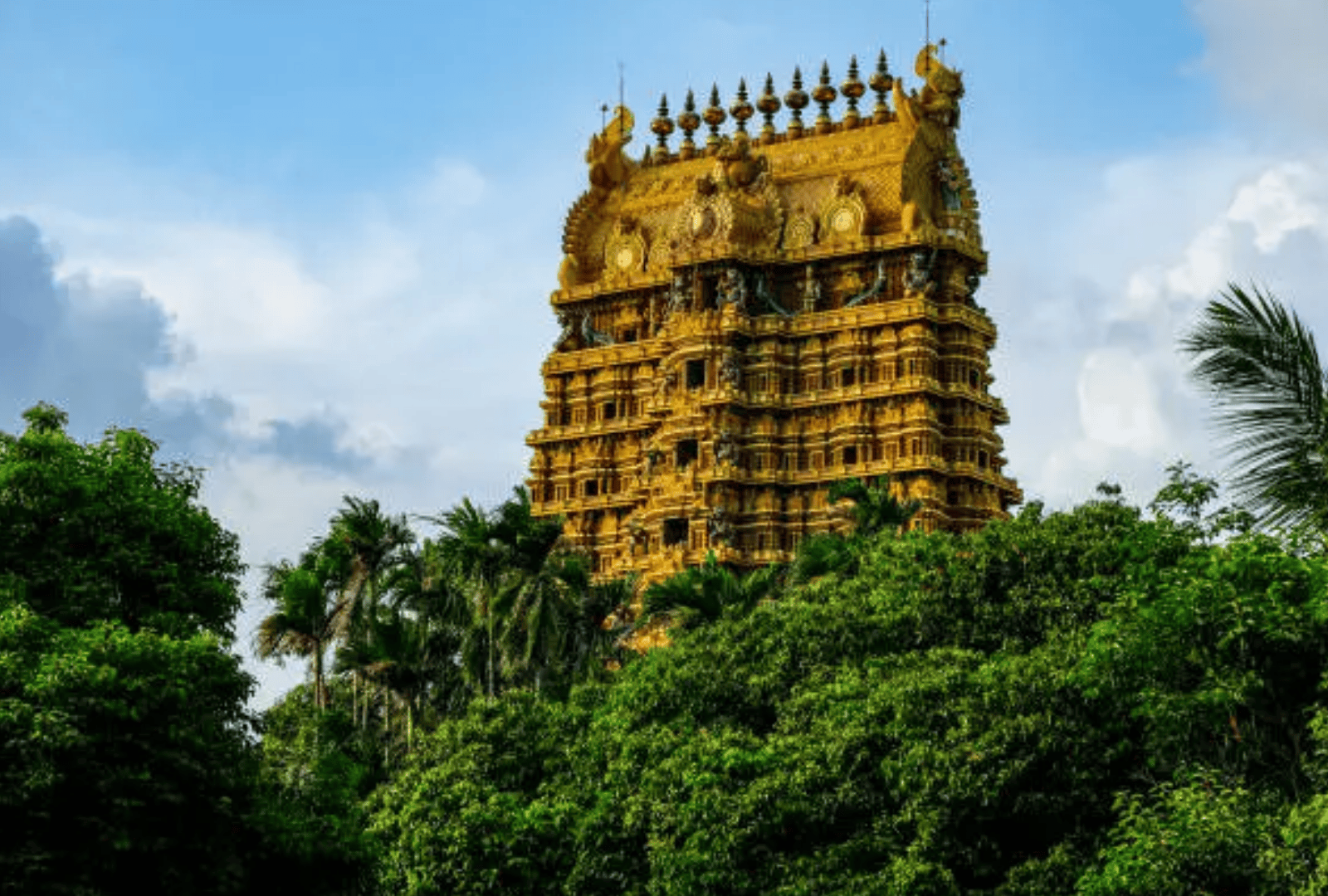 Plan Your Sri Lankan Escape (13)