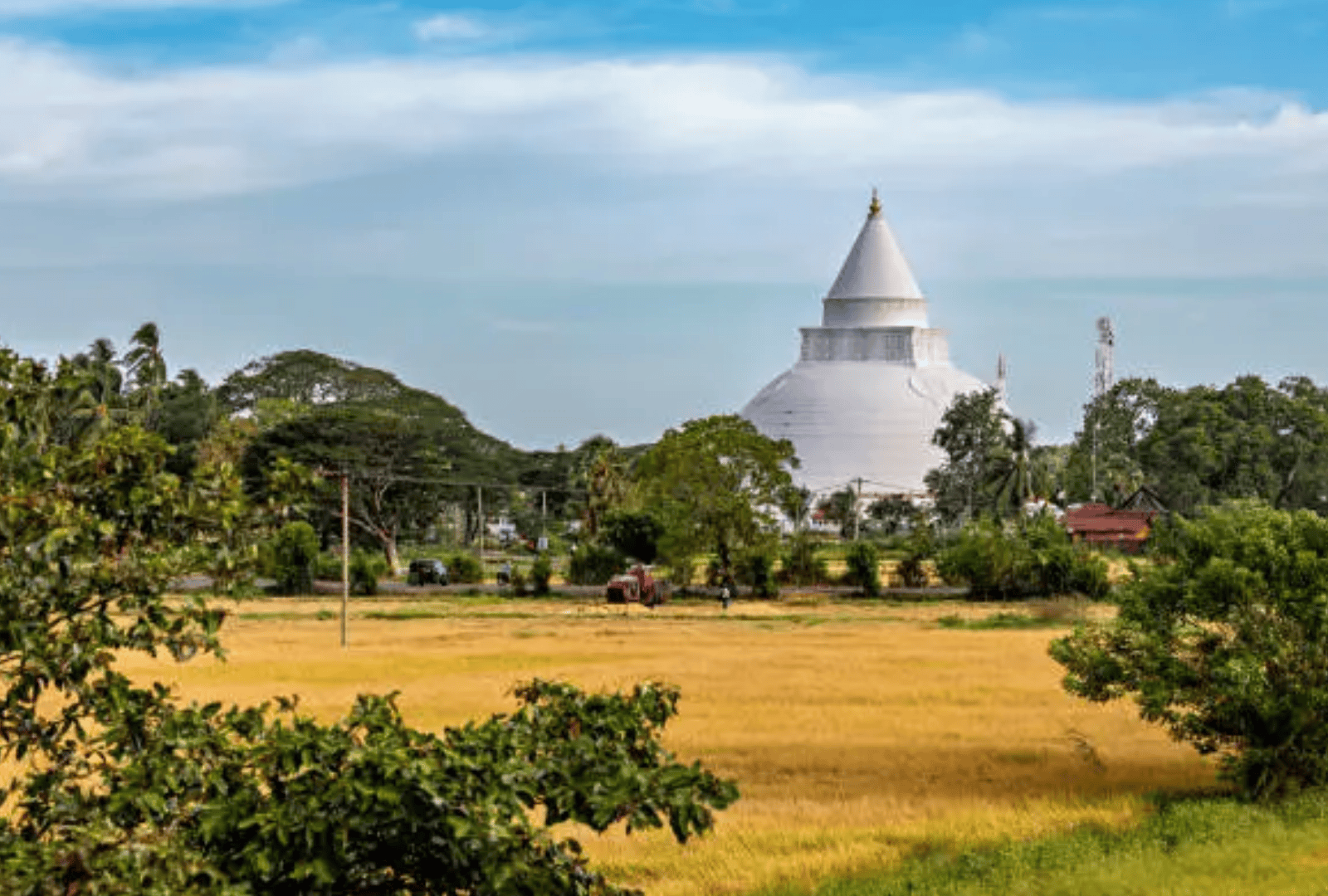 Plan Your Sri Lankan Escape (28)