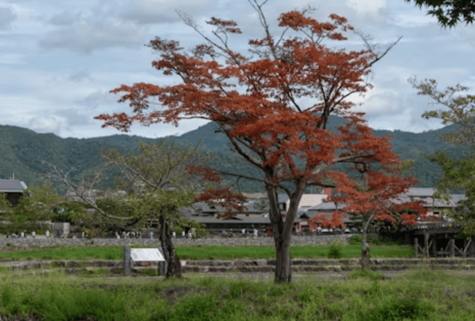 Plan Your Sri Lankan Escape (29)