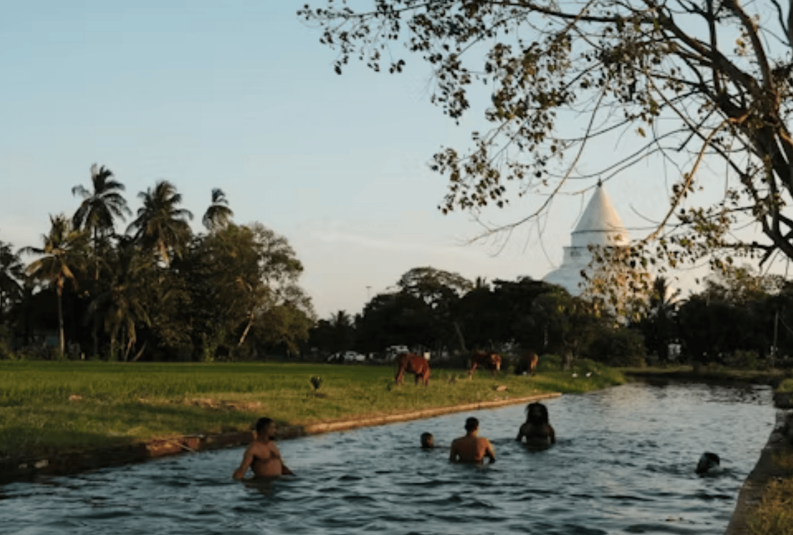 Plan Your Sri Lankan Escape (30)