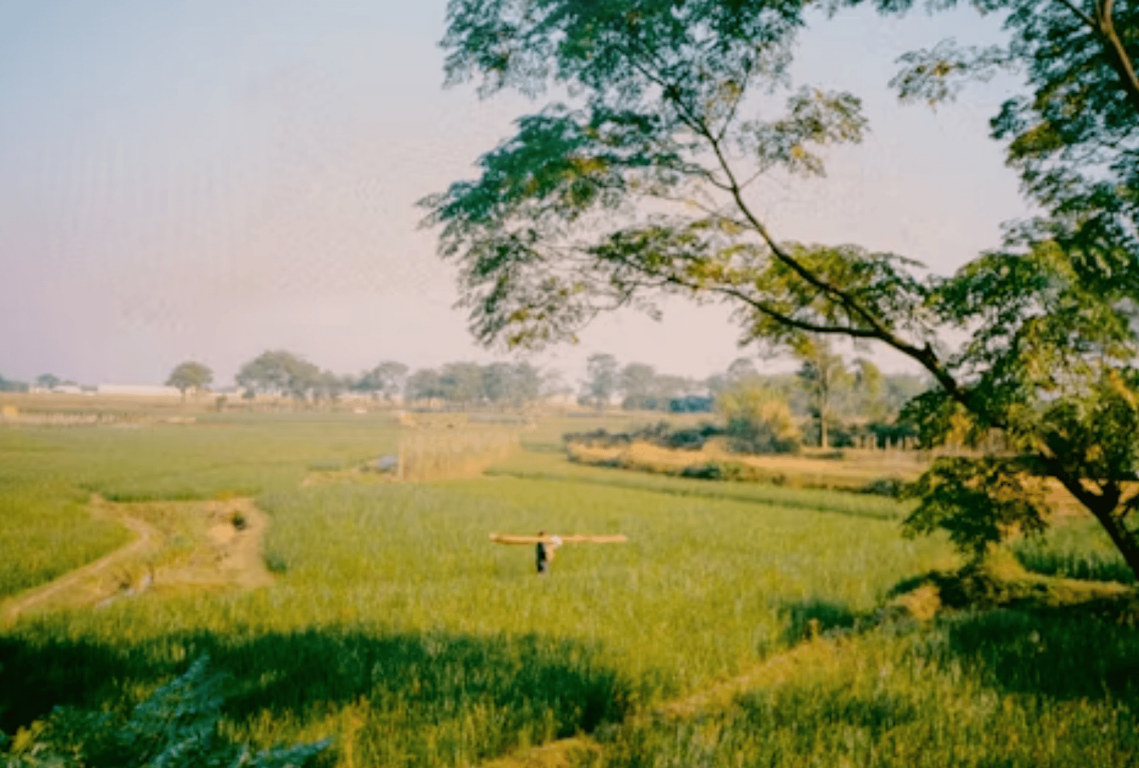 Plan Your Sri Lankan Escape (31)
